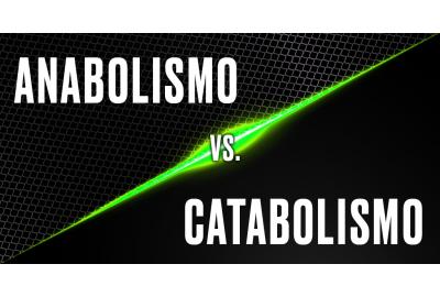 ANABOLISMO Y CATABOLISMO ¿QUÉ SON?