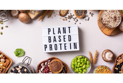 PROTEÍNA VEGANA PARA DEPORTISTAS: GUÍA CIENTÍFICA PARA ELEGIR LA MEJOR OPCIÓN PLANT-BASED