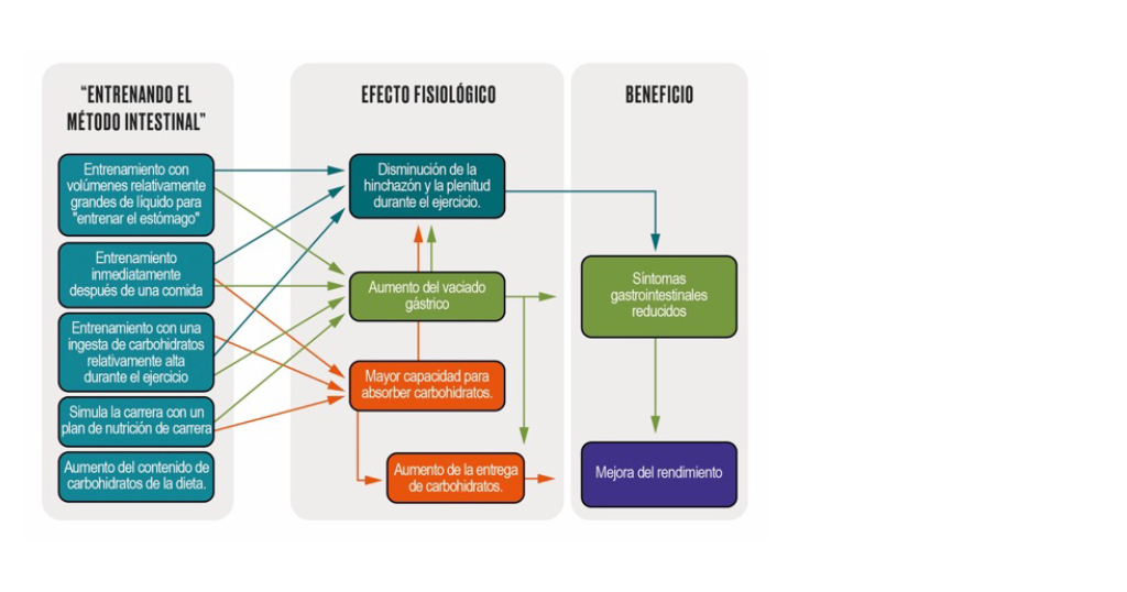 infisport-blog-estrategias-para-evitar-problemas-intestinales-en-deportes-de-resistencia