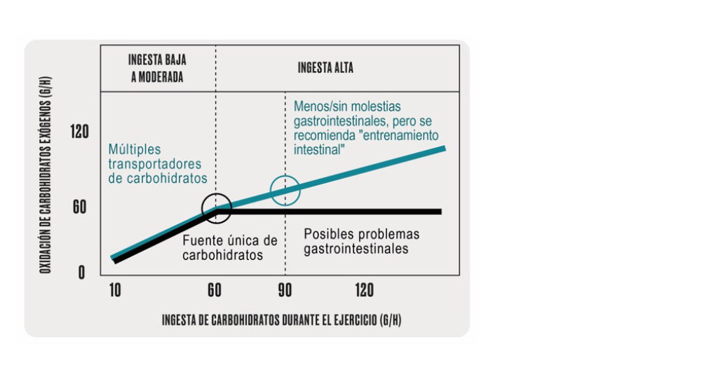 infisport-blog-estrategias-para-evitar-problemas-intestinales-en-deportes-de-resistencia