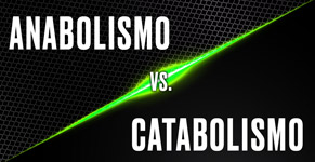 ficha_autor_ma_anabolismo_catabolismo