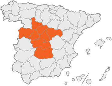 MADRID, CIUDAD REAL, GUADALAJARA, TOLEDO, SEGOVIA, ÁVILA & SALAMANCA