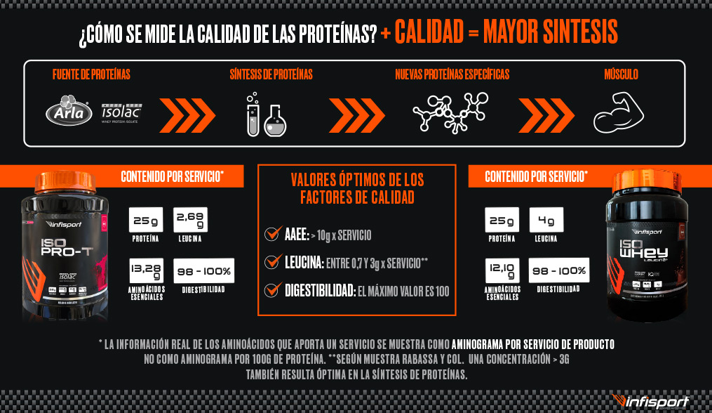 infisport-blog-infografia-proteinas
